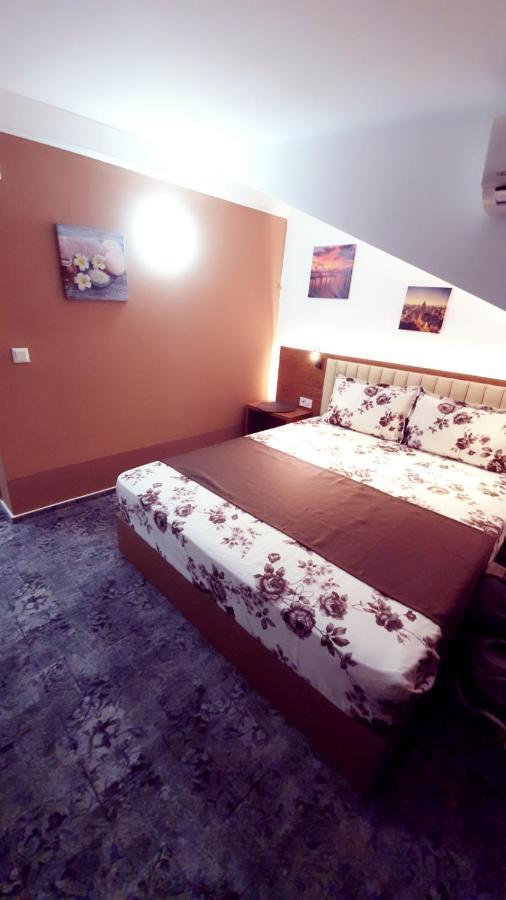 Stay Inn Rediu Valea Lupului  Buitenkant foto